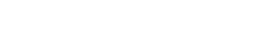 symmetry partners logo